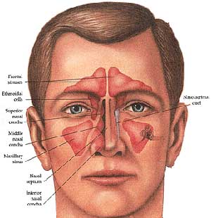 how does nasal irrigation work